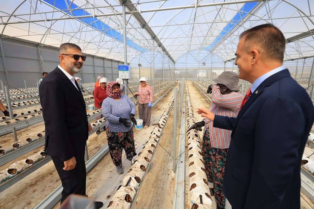 Vali Akbıyık, Milas’taki Entegre Tarım ve Gıda Tesisini İnceledi 1